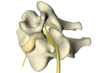 cervical spine no pain with Concord, NC chiropractic