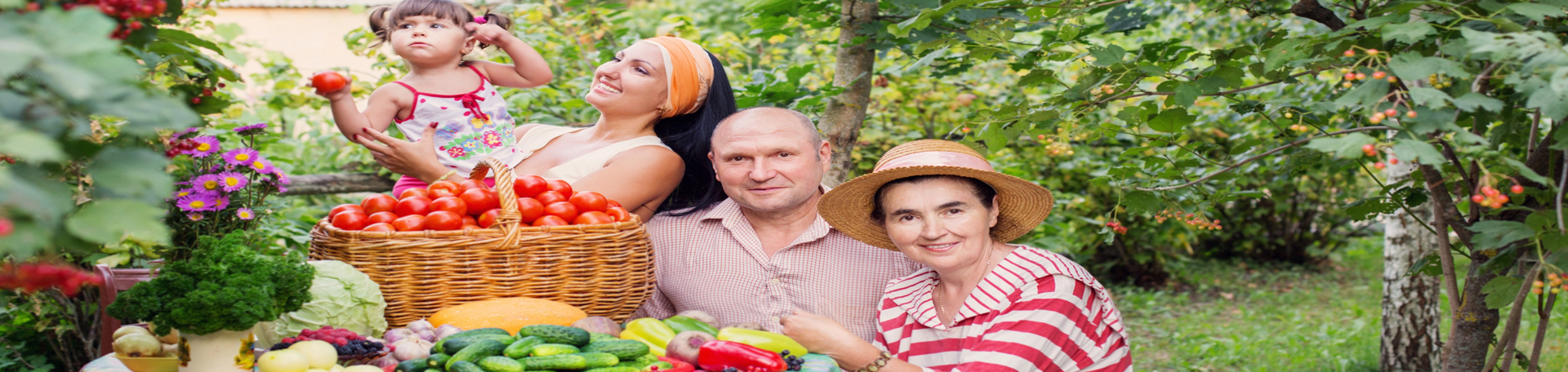 Concord, NC chiropractic summer health tips