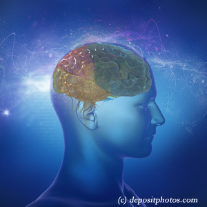 image of a brain for cognition influenced by balance that Concord, NC chiropractic can help